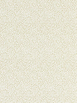 Scalamandre Elodie Weave Flax Fabric