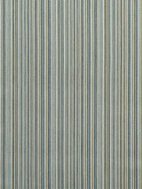 Scalamandre Alder Stripe Moonstone Fabric