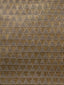Scalamandre Cuir Delta Bronze Fabric