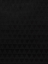 Scalamandre Cuir Delta Black Fabric