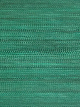 Old World Weavers Criollo Horsehair Green Upholstery Fabric