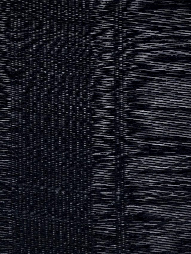 Scalamandre Ricana Horsehair Black Fabric