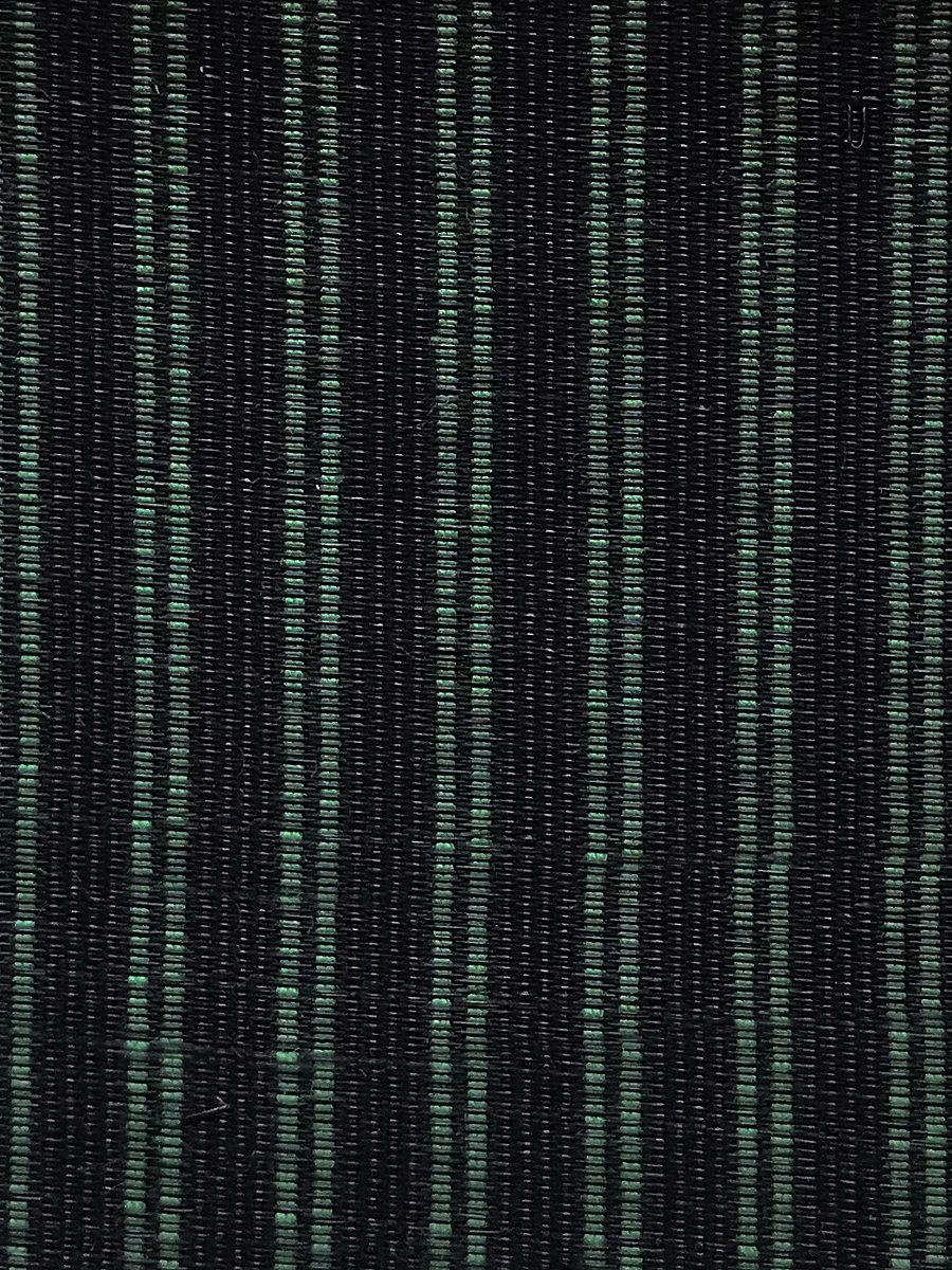 Scalamandre Tarpan Horsehair Green / Black Fabric