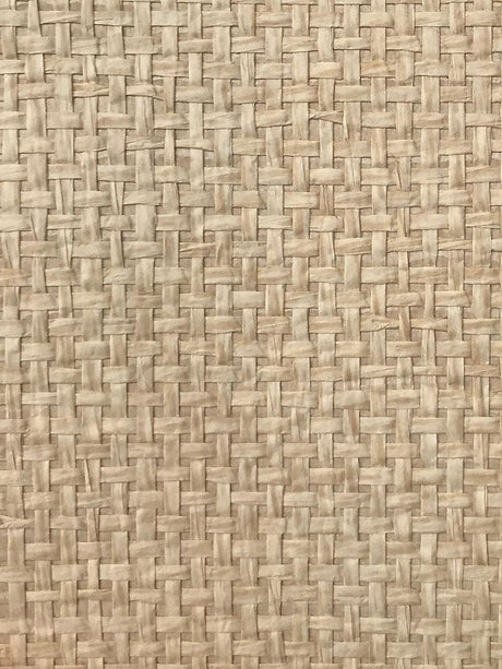 Scalamandre Organic Paperweave Desert Wallpaper