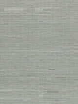 Scalamandre Organic Sisal Spa Wallpaper