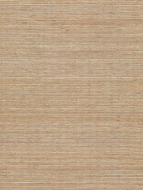 Scalamandre Organic Sisal Mink Wallpaper