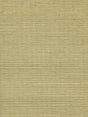Scalamandre Organic Sisal Springtime Wallpaper