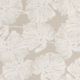 Schumacher Del Coco Sheer Natural Fabric