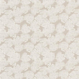 Schumacher Del Coco Sheer Natural Fabric