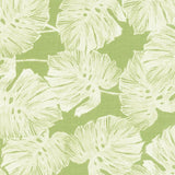 Schumacher Del Coco Sheer Leaf Fabric