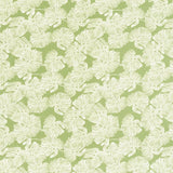 Schumacher Del Coco Sheer Leaf Fabric