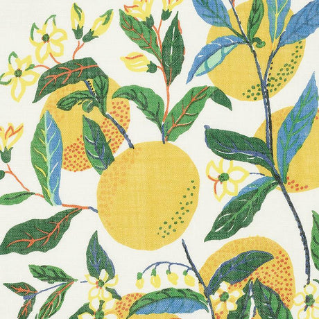Schumacher Citrus Garden Sheer Primary Fabric