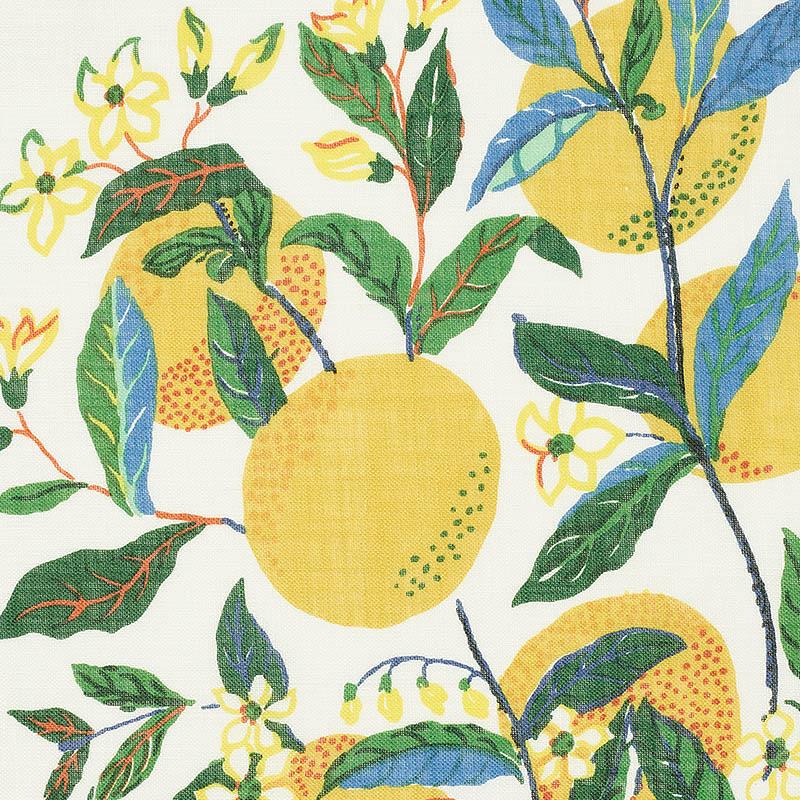 Schumacher Citrus Garden Sheer Primary Fabric