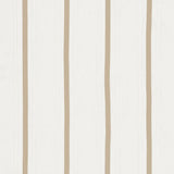 Schumacher Stripe Appliqu Sheer Tan Fabric