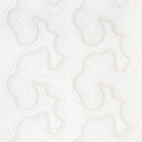 Schumacher Topo Beaded Sheer Blush Fabric