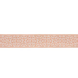 Schumacher Orange Maze Tape