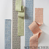 Schumacher Brickell Tape Indoor/Outdoor Blue Trim