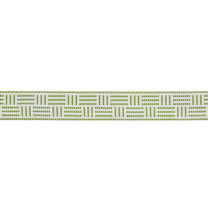 Schumacher Leaf Brickell Tape Indoor/Outdoor