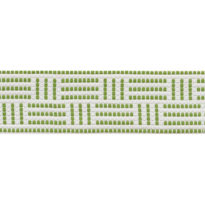 Schumacher Leaf Brickell Tape Indoor/Outdoor