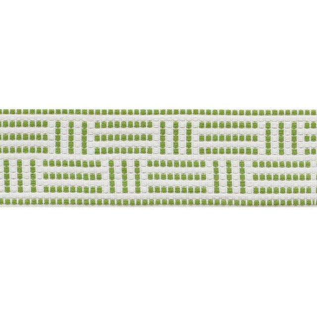 Schumacher Leaf Brickell Tape Indoor/Outdoor