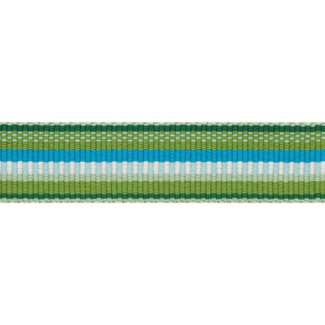 Schumacher Primavera Tape Narrow Meadow Trim