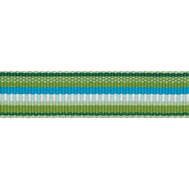 Schumacher Primavera Tape Narrow Meadow Trim