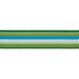 Schumacher Primavera Tape Narrow Meadow Trim