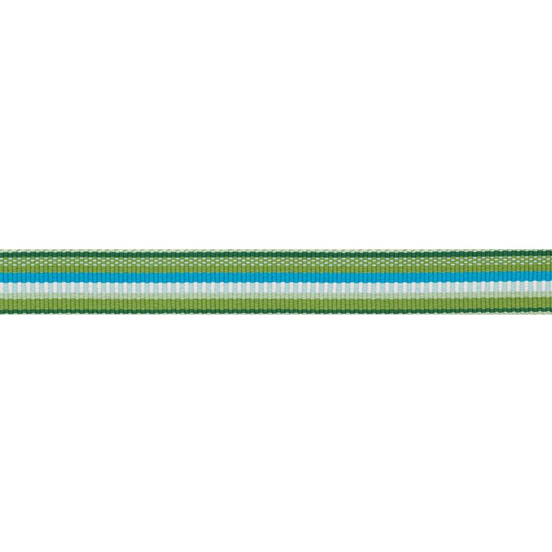Schumacher Primavera Tape Narrow Meadow Trim