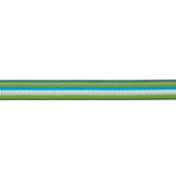 Schumacher Primavera Tape Narrow Meadow Trim