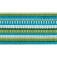 Schumacher Primavera Tape Wide Meadow Trim