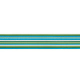 Schumacher Primavera Tape Wide Meadow Trim
