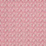 Schumacher Halcyon Fuchsia Fabric