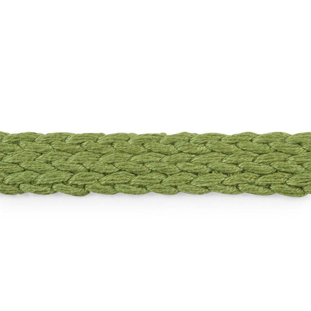 Schumacher Leaf Braided Linen Tape Medium