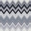 Schumacher Zenyatta Mondatta Ii Charcoal Fabric