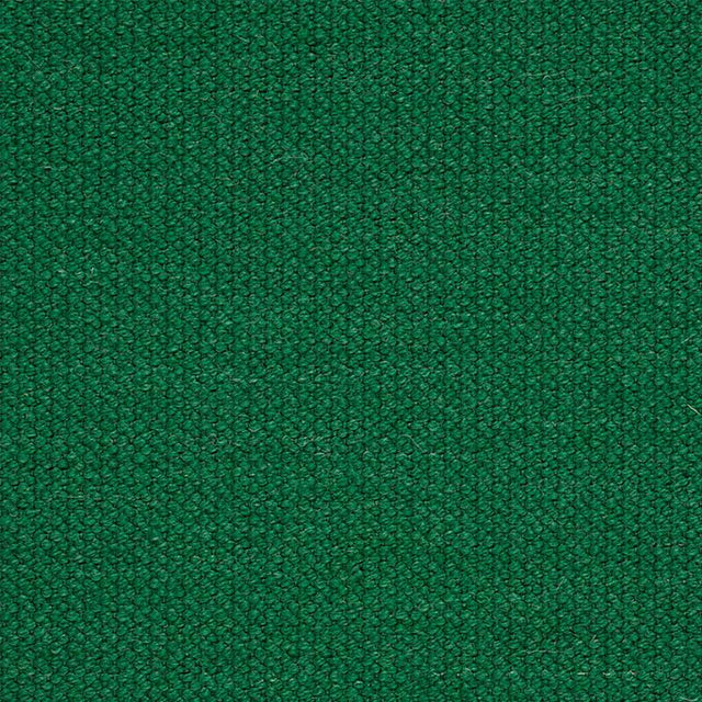 Schumacher Alpine Green Fabric