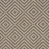 Schumacher Montane Raffia Fabric