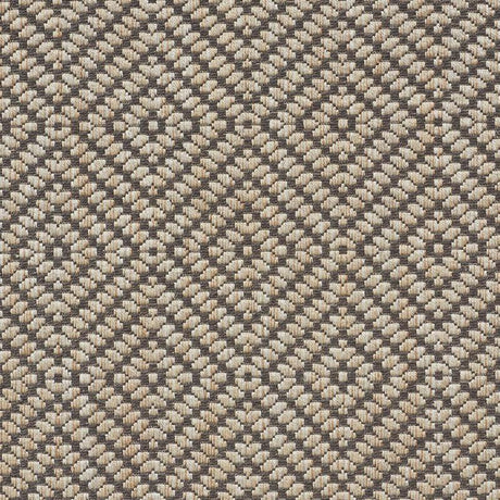 Schumacher Montane Raffia Fabric