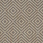 Schumacher Montane Raffia Fabric