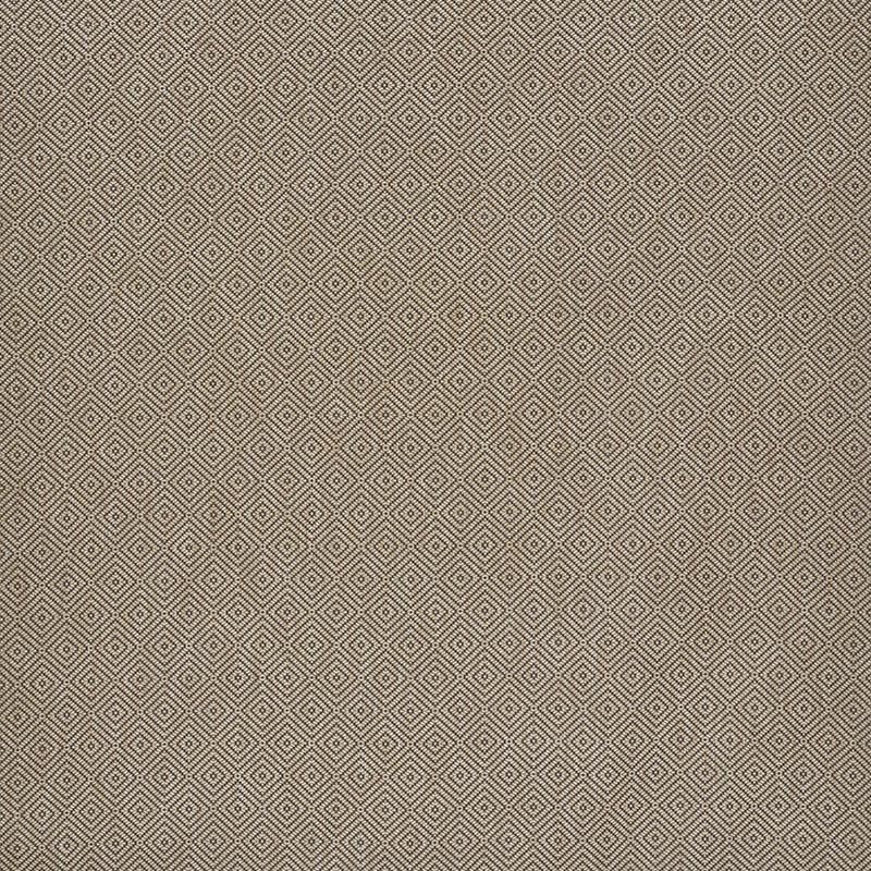 Schumacher Montane Raffia Fabric