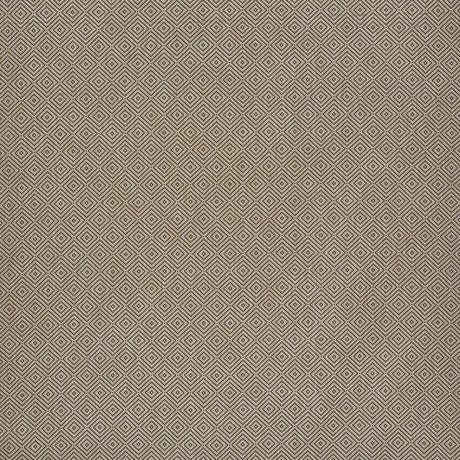 Schumacher Montane Raffia Fabric