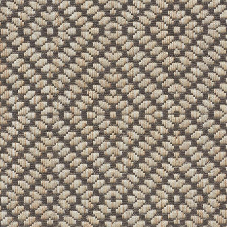 Schumacher Montane Raffia Fabric