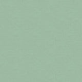 Kravet COUTURE 33886 52 Fabric