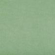 Kravet ULTRASUEDE GREEN SPRIG Upholstery Fabric