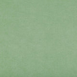 Kravet Ultrasuede Green Sprig Fabric
