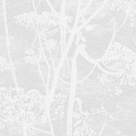 Cole & Son COW PARSLEY WHITE Wallpaper