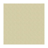 Kravet 27968 Shell Fabric