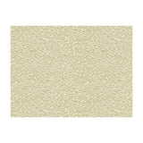 Kravet High Impact Platinum Fabric