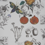 Gaston Y Daniela LINEO 001 Wallpaper