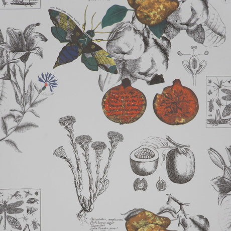 Gaston Y Daniela LINEO 001 Wallpaper