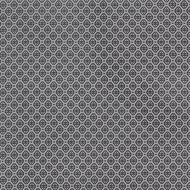 Gaston Y Daniela CALABREZ ONYX Upholstery Fabric